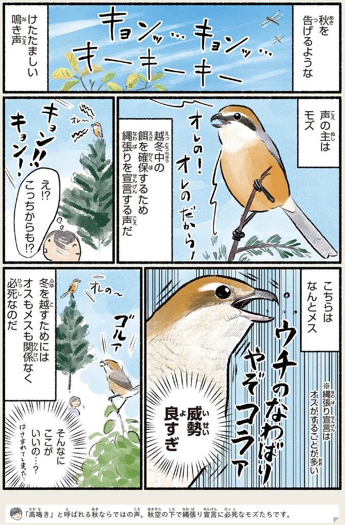 『意外と知らない鳥の生活 1〜2』 491.webp