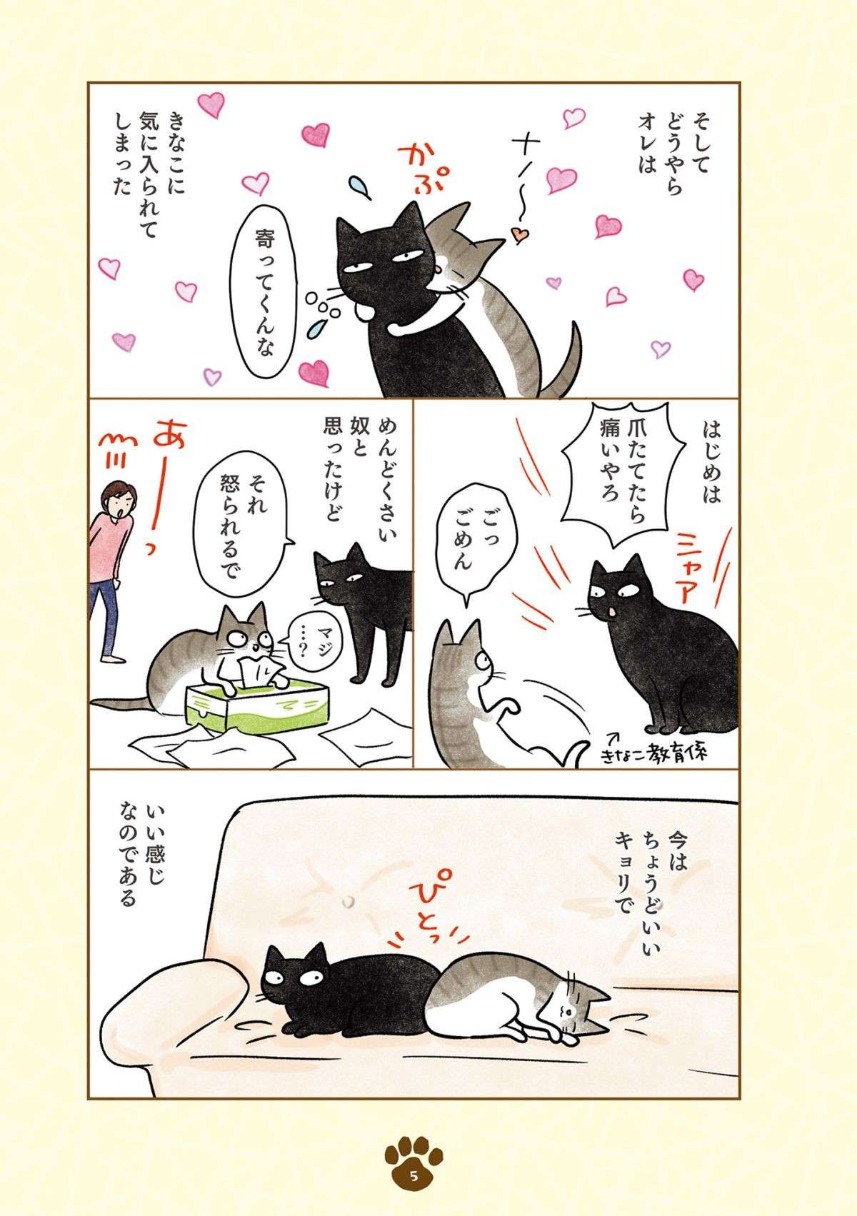 「え、猫やのに？」猫らしくない黒猫。新入りキジシロ猫との関係は？／黒猫ナノとキジシロ猫きなこ kuroneko_nano1-5.jpg