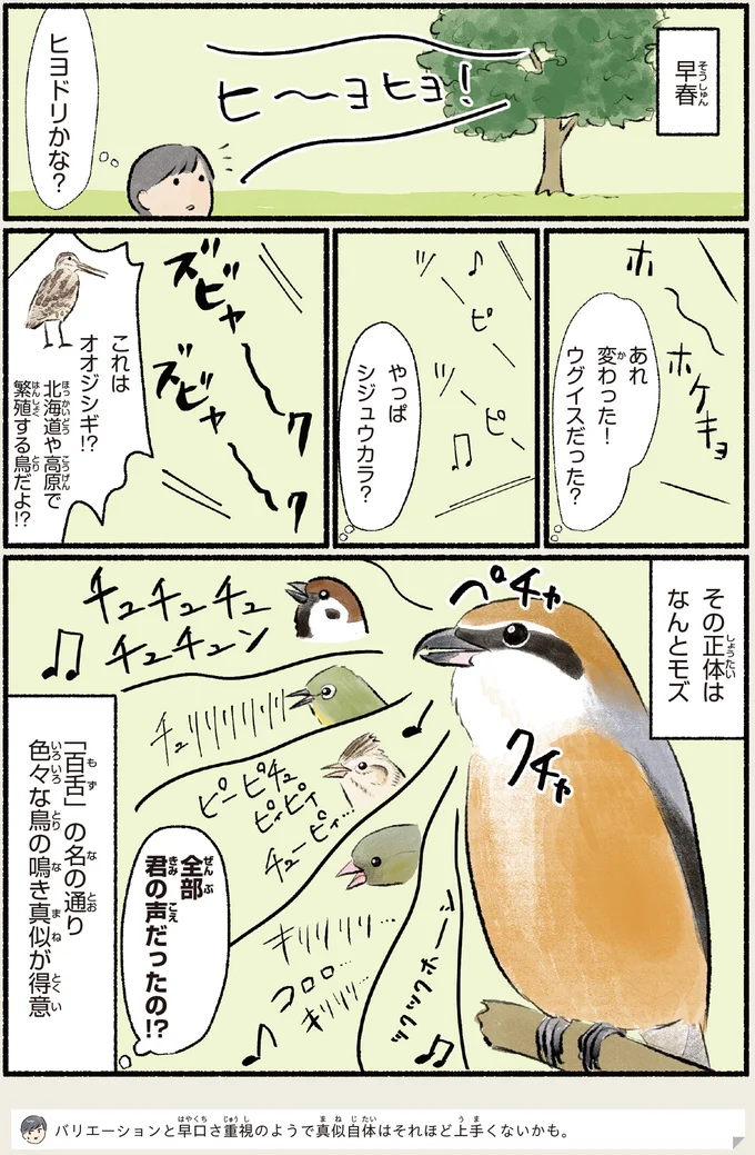 『意外と知らない鳥の生活 1〜2』 492.webp