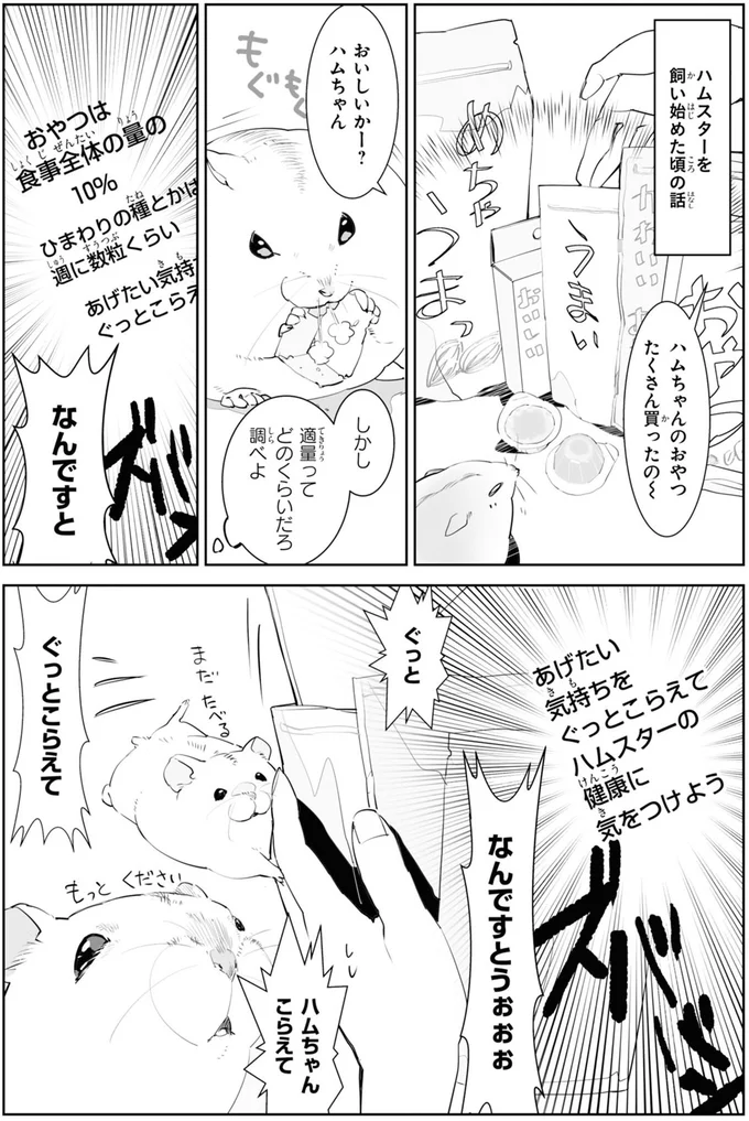 ハムスターのおやつの「適量」は? 飼い主が気付いた衝撃の事実に...な、なんだって!/はむはむづくし1 19-02.png