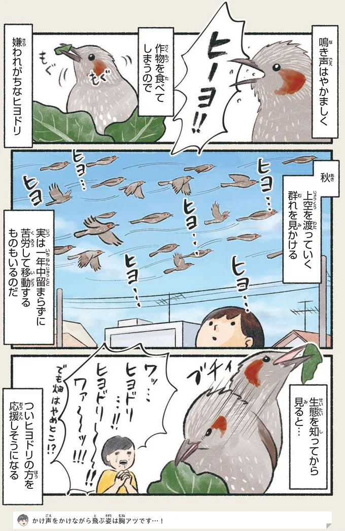 『意外と知らない鳥の生活 1〜2』 132.webp