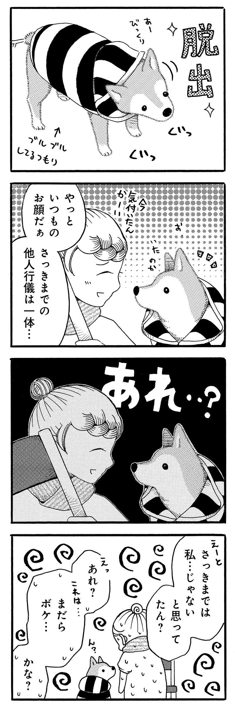 おじいちゃん柴犬との日々。帰った時の愛犬のリアクションが...かわいいけど変？／じじ柴ハチさん 9.jpg