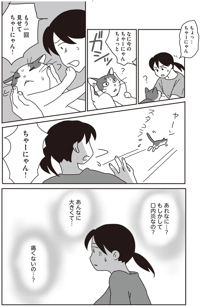 『世界一幸せな飼い主にしてくれた猫』 06-03.png
