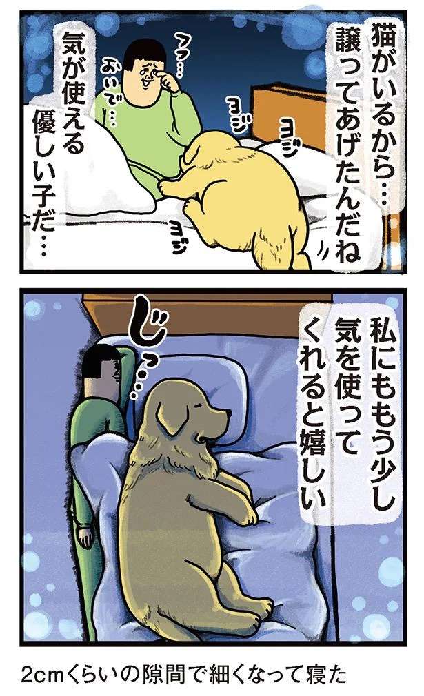 優しさに泣ける...猫たちに寝床を譲った愛犬。そのしわ寄せが...あれ？／まめきちまめこニートの日常 3 mameko26_3.jpeg