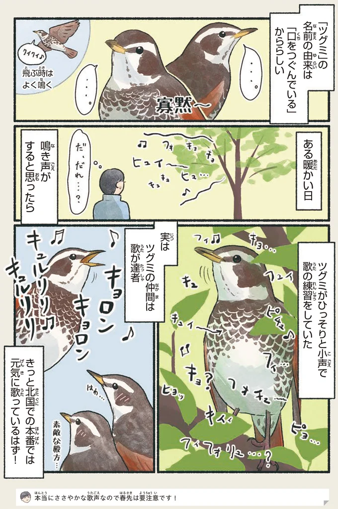 鳥の「ツグミ」の名前の由来、知ってる？ でもある暖かい日に...／意外と知らない鳥の生活 192.webp