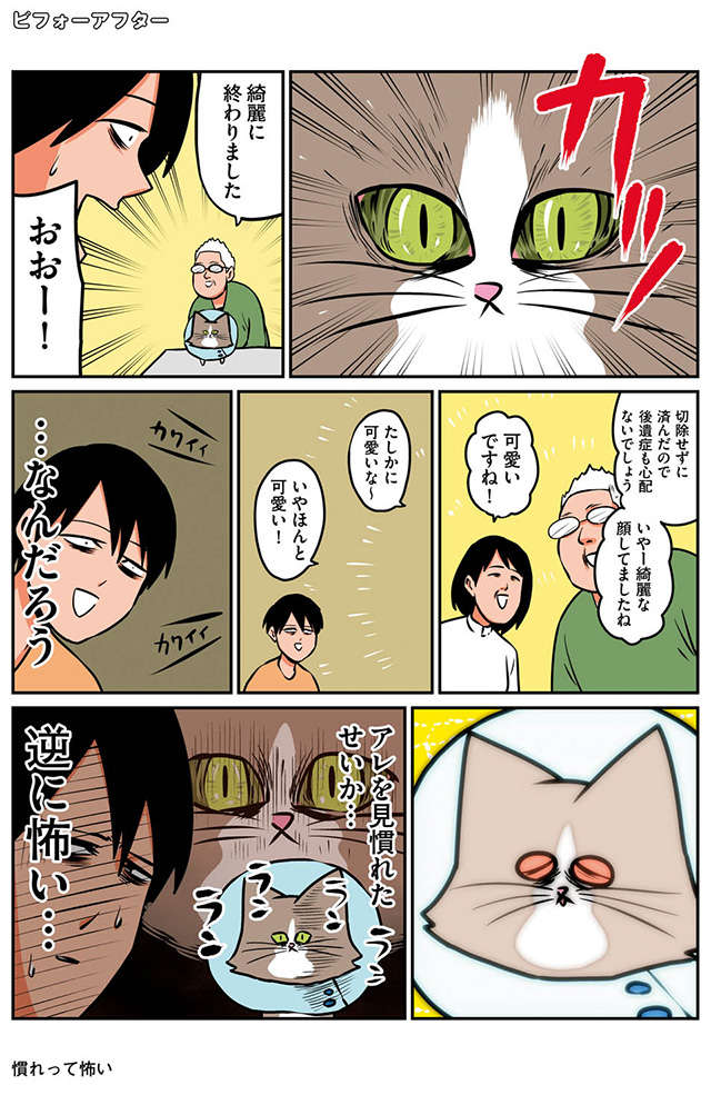 「思ったよりひどい」保護した子猫を病院へ。怪我ではないとのことだが...／鴻池剛と猫のぽんた ニャアアアン! 2 13.jpg