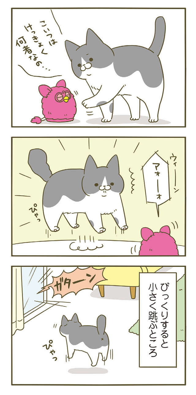 猫がびっくりした瞬間。そのちょっとした動きがかわいすぎる...！／うちの猫がまた変なことしてる。5 11.jpg