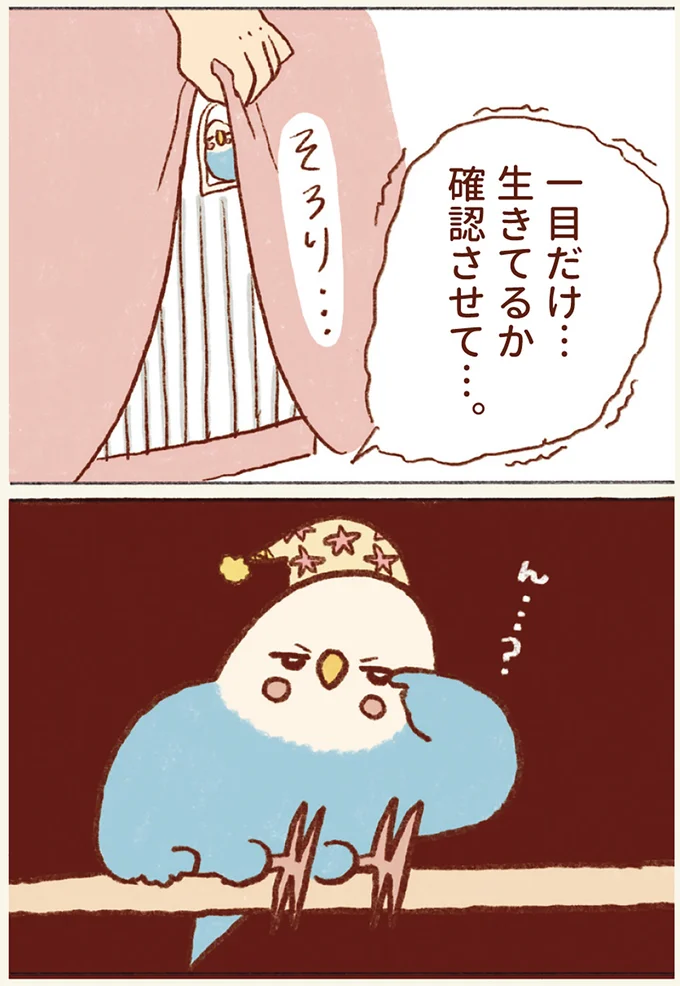 『プジェ日記！ 幸せを運ぶインコのみっちゃん』 122.webp