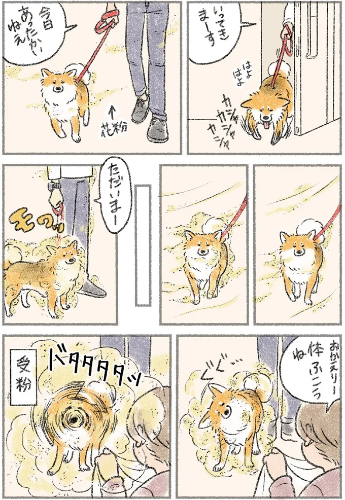 愛犬用のペットゲートを開けたのは誰？ 夫婦がギスギスする中、真犯人は？／犬を揉む 12.png