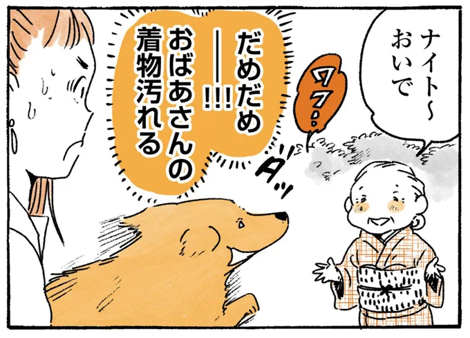 「バカバカ！私ときたら...」 犬とおばあちゃんの姿に、通りすがりの女性が感涙／姫ばあちゃんとナイト