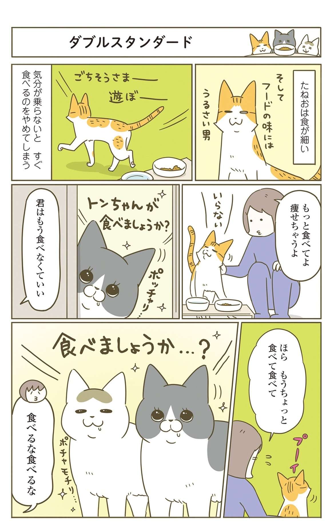 「自分のごはんは無いんですね...」という顔の猫。じっと見てきても実は／うちの猫がまた変なことしてる。7 11.jpg