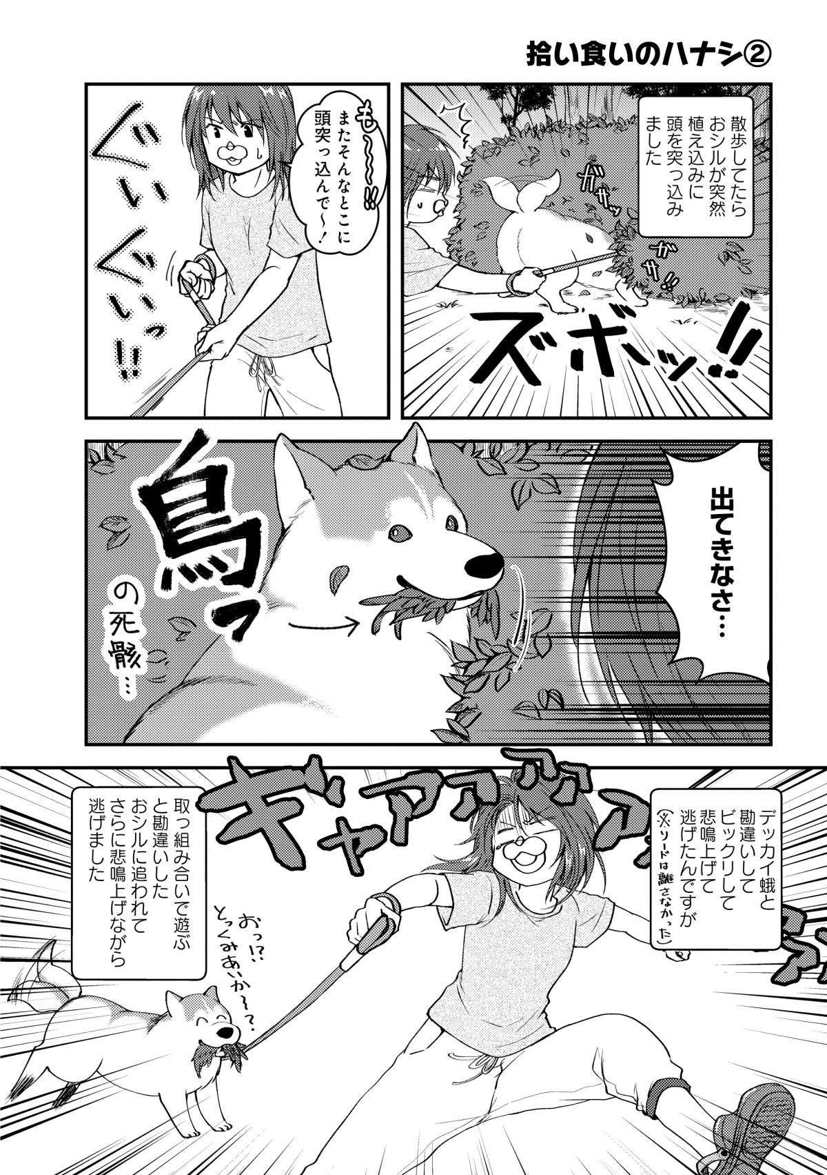 「なんで？」愛犬の餌を変えたら毛並みがふわぁ～り！ ただ1つ、謎の問題が...／猫とハスキーとハマジ1 ６.jpg