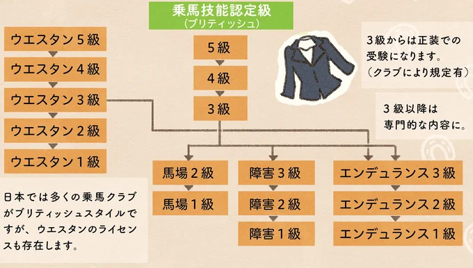 初対面の馬が顔をぐりぐり。この行動の理由を調べてたら...えっ？／馬に乗らずにいられない！ 05-10.png