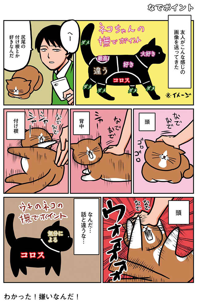 猫の撫でポイントを学習。実践したところ...話が違うぞ！／鴻池剛と猫