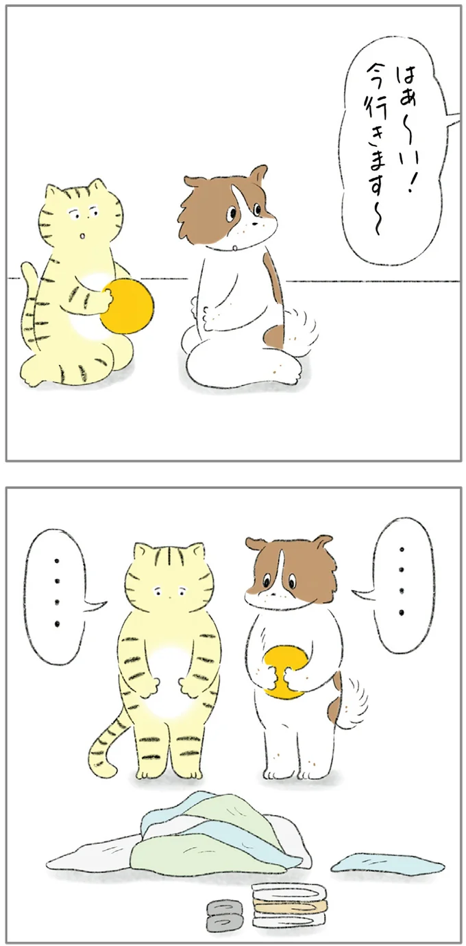 『ターとアグのしあわせ日和 元ノラ猫と元保護犬、ふたりは親友』 03-02.png