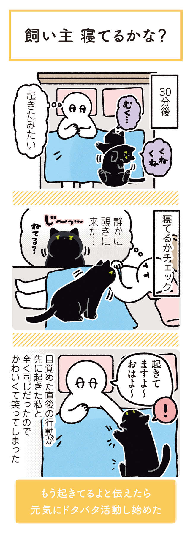 猫の「肉球より触り心地がいいところ」。ここを夢中でさわりすぎると...／黒猫ろんと暮らしたら 12.jpg