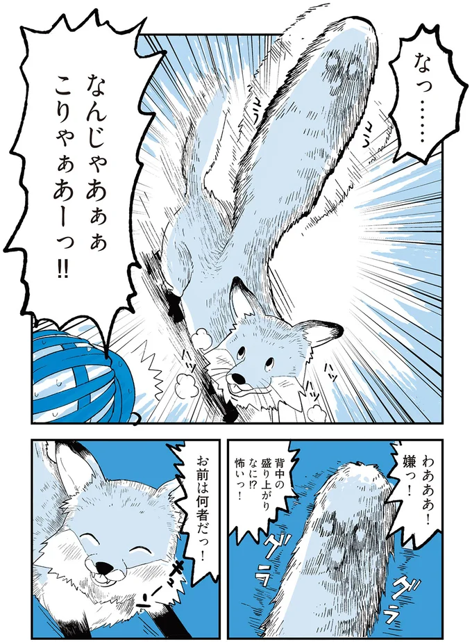 何かが後ろからついてきてる...？ 通勤中に遭遇した「謎の生き物」／動物たちが残した25個の不思議なメッセージ 14555407.webp