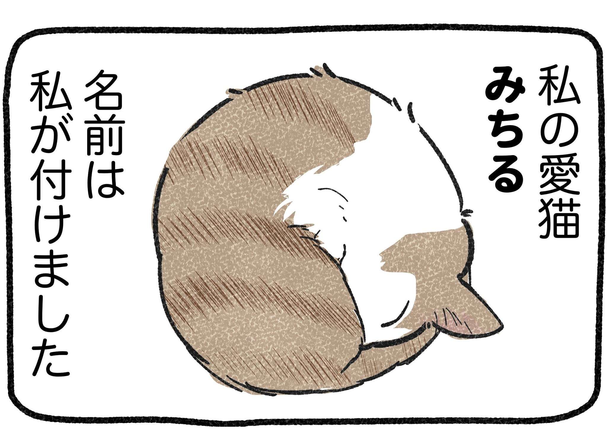 「すべては猫を飼うため！」猫への愛だけで転職、上京した漫画家。その「決意」がすごい【作者に聞く】 05.jpg