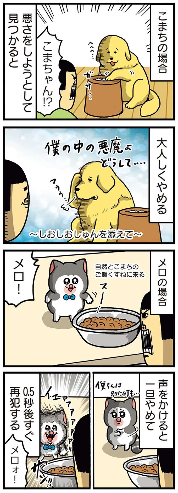 犬猫のいたずらにも個性あり。反省、再犯、確信犯⁉/まめきちまめこニートの日常 こまちとタビ5 mame9_1.jpeg