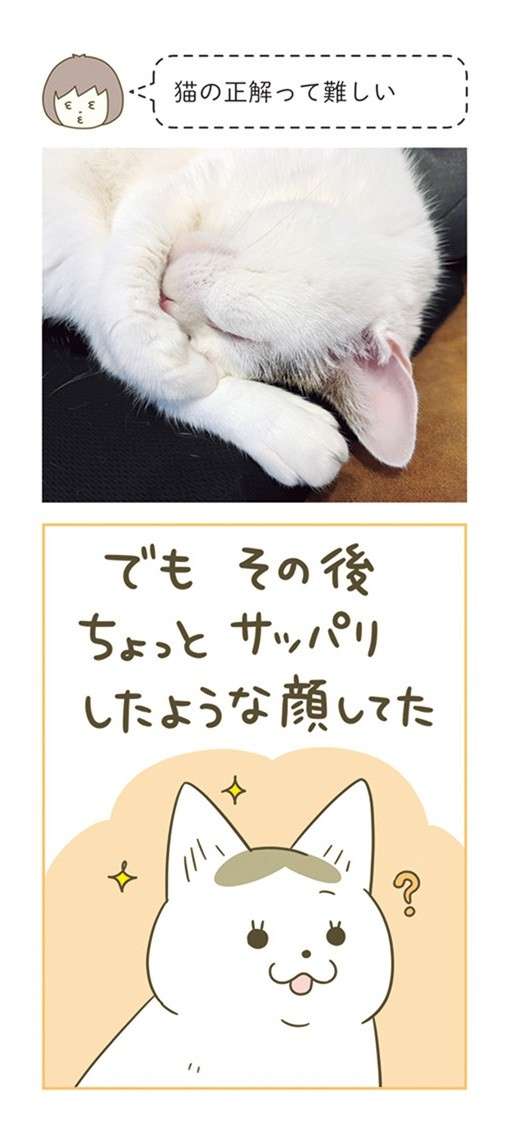 えっ、なでなでは欲してない？ 「猫の正解」が難しすぎる... ／うちの猫がまた変なことしてる。7 12.jpg