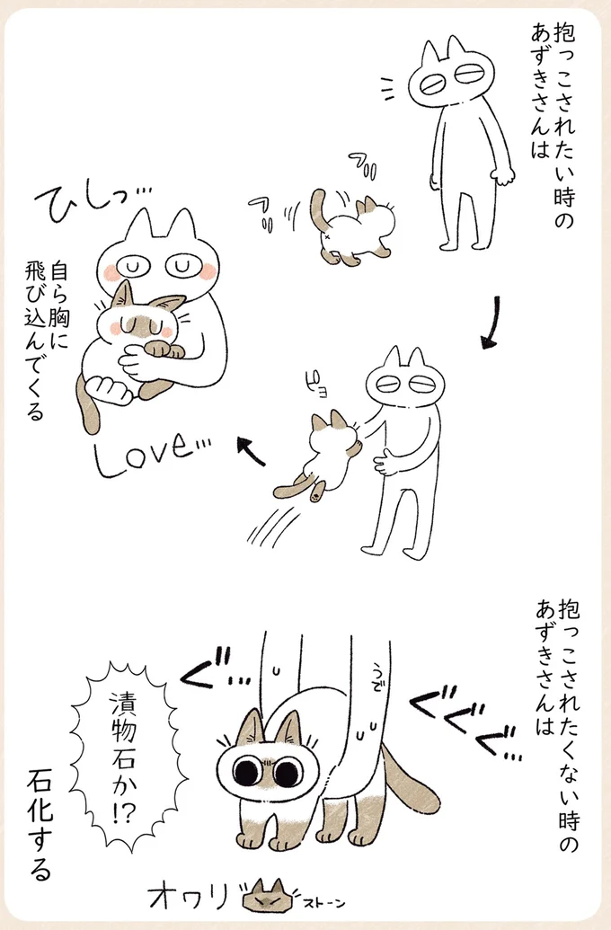 『シャム猫あずきさんは世界の中心』1〜2 05-02.png