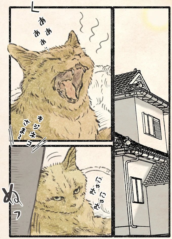 『今日もネコ様の圧が強い2』 21.webp