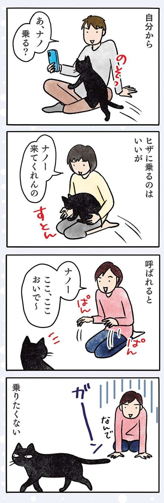 「飽きたん？」猫はおもちゃを動かしても無反応。その「猫っぽい理由」は／黒猫ナノとキジシロ猫きなこ kuroneko_nano11-6.jpg