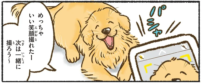 愛犬レトリバーは来客時に一応吠えるけど...めっちゃしっぽ振ってるのはなぜ／今日もゴールデンレトリバーに癒されて 15712360.webp