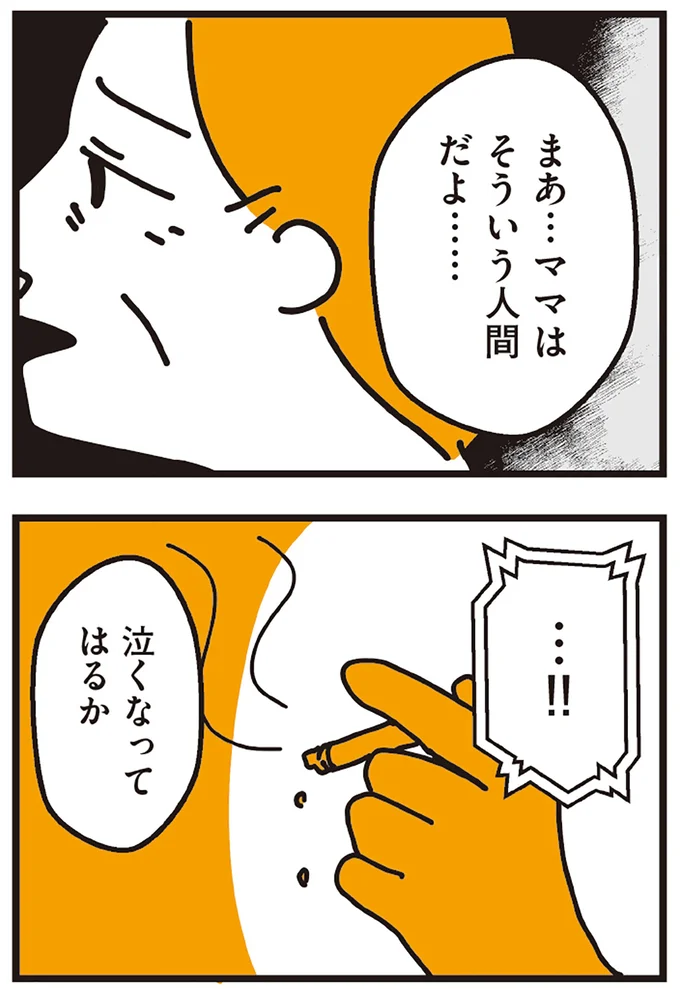 『不倫の子だなんて知りたくなかった』 147.webp