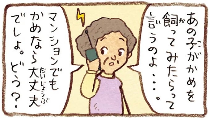 おばあちゃんとかめ 何げに楽しい2匹とのくらし 05-06.webp