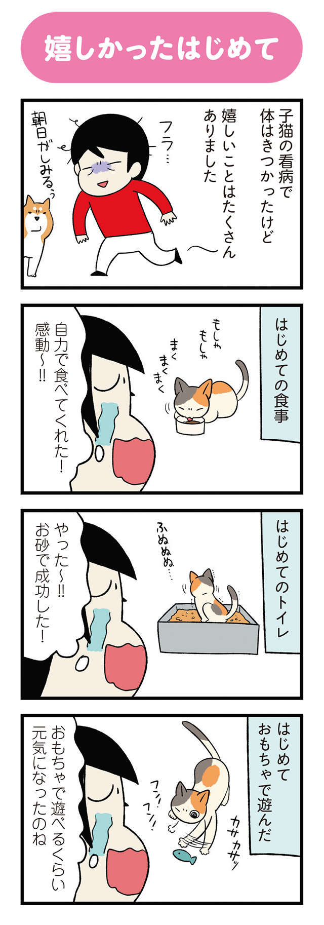 ボロボロだった子猫が回復。ヘトヘトになったけど嬉しかったのは...ウワサのコレ！／うちう猫と柴犬 uchiuneko_p21-1.jpg