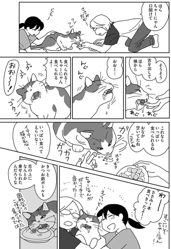 『世界一幸せな飼い主にしてくれた猫』 15-05.png