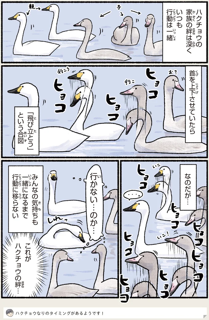 『意外と知らない鳥の生活 1〜2』 502.webp