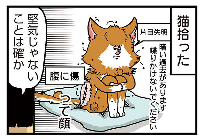 「堅気じゃない」傷だらけの猫を保護。獣医が「爆笑した理由」／まめきちまめこニートの日常 こまちとタビ 2 1.jpg