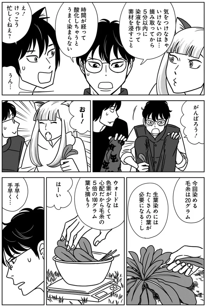 自宅で染色の実験開始！ 失敗は許されないなかで助手は二人のねこまた!?／ねこまた印の染物屋さん 15650383.webp