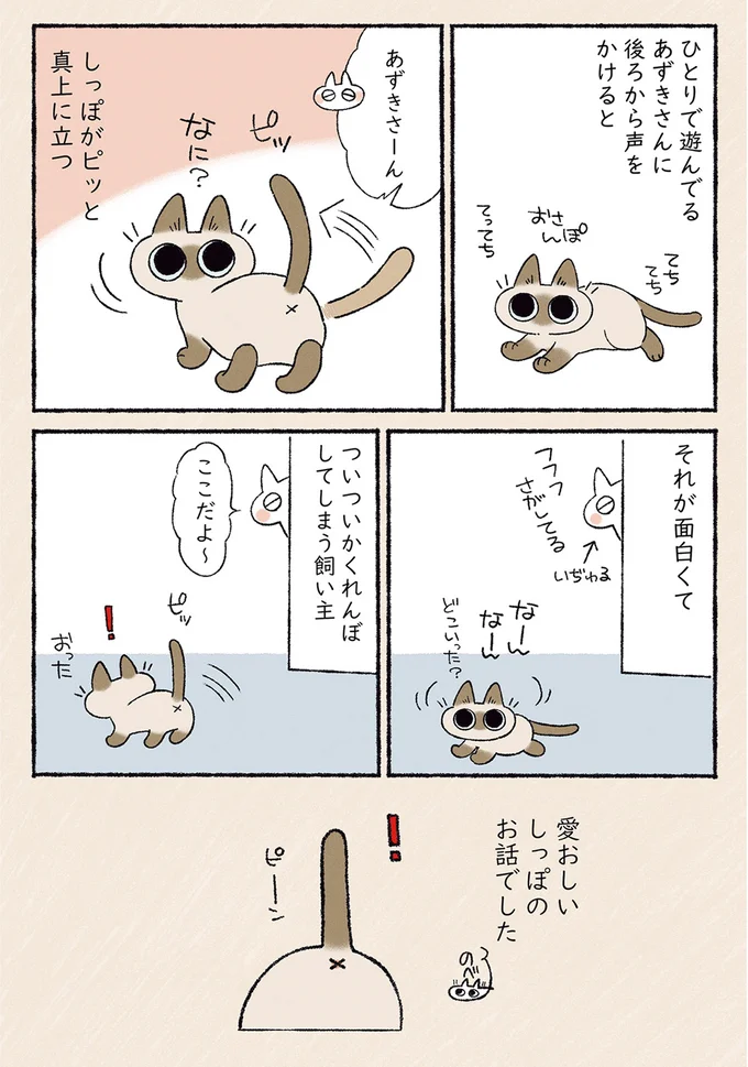 『シャム猫あずきさんは世界の中心』1〜2 18-01.png