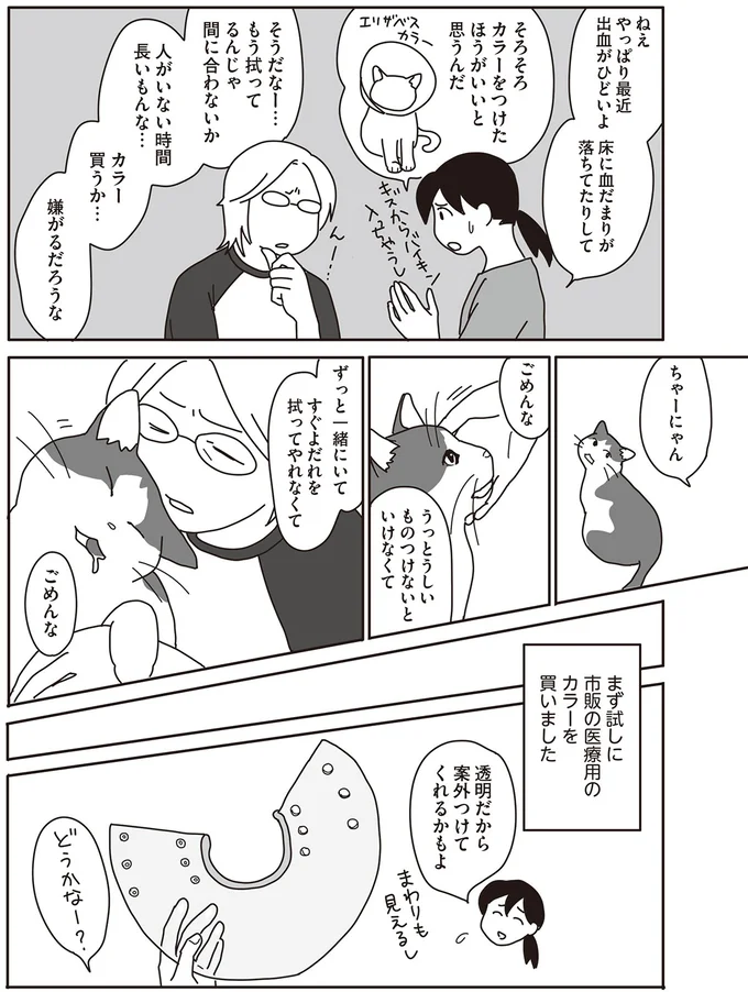 ガンに罹患した愛猫の看病。少しでも快適になるよう飼い主は懸命に...／世界一幸せな飼い主にしてくれた猫 16-04.png