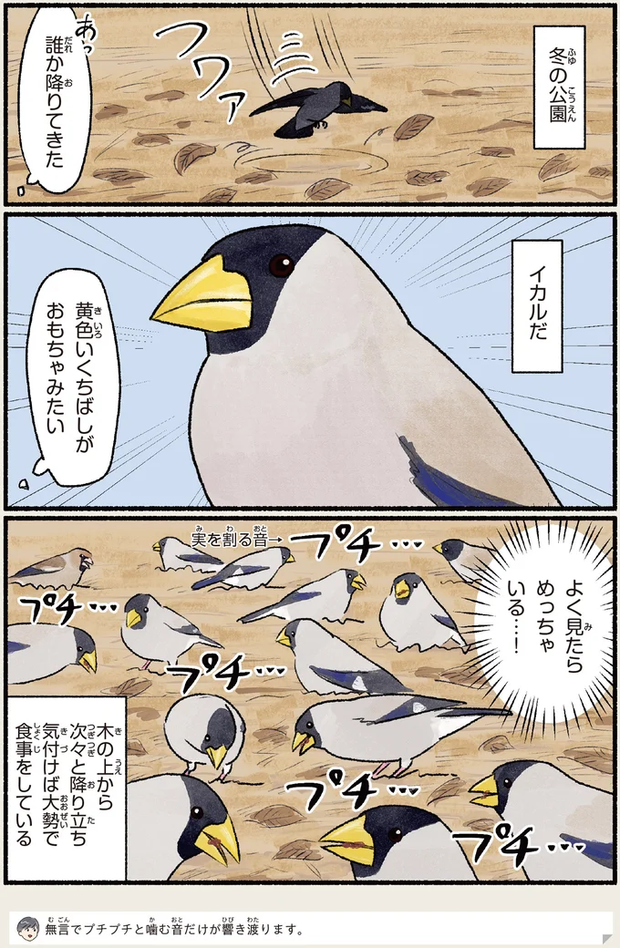 『意外と知らない鳥の生活 1〜2』 511.webp