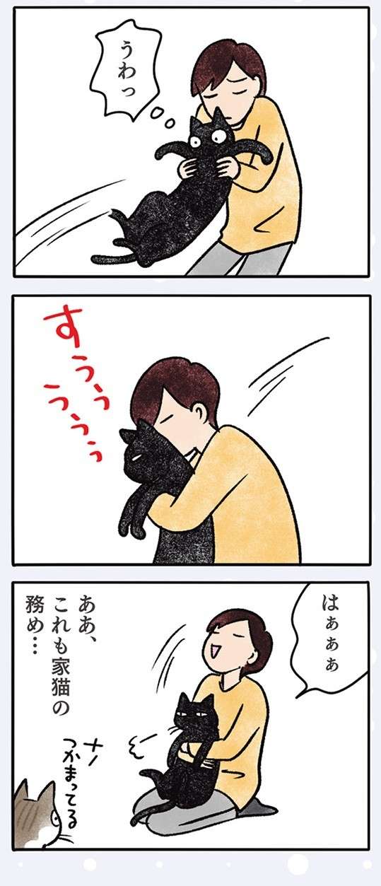 「ええの怒って」驚く猫。吸われてもモフられても我慢するのが定め!?／黒猫ナノとキジシロ猫きなこ kuroneko_nano10-2.jpg