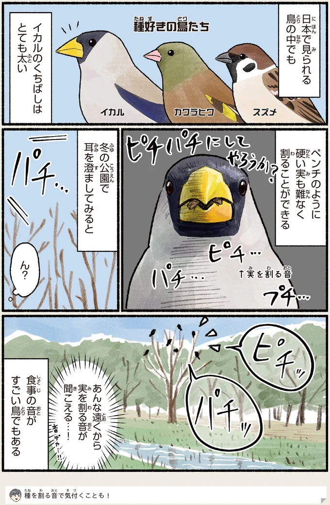 『意外と知らない鳥の生活 1〜2』 512.webp