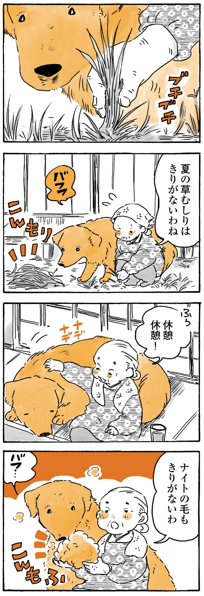 愛犬の前でお手玉を披露するおばあちゃん。思わず反応して...！／姫ばあちゃんとナイト 93.png