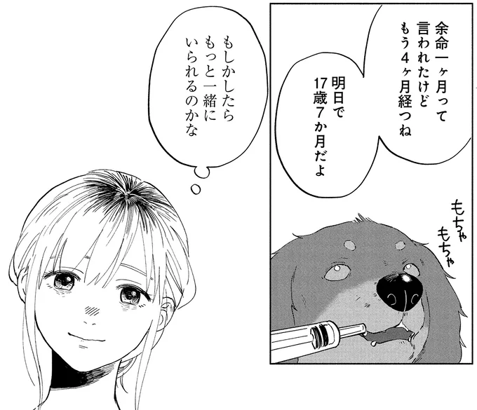 『アルへ』 04-04.webp