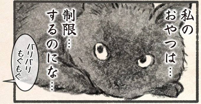 「クロネコ様、お太りになったから今日からおやつなし」と飼い主。猫の「ごもっともな主張」／今日もネコ様の圧が強い