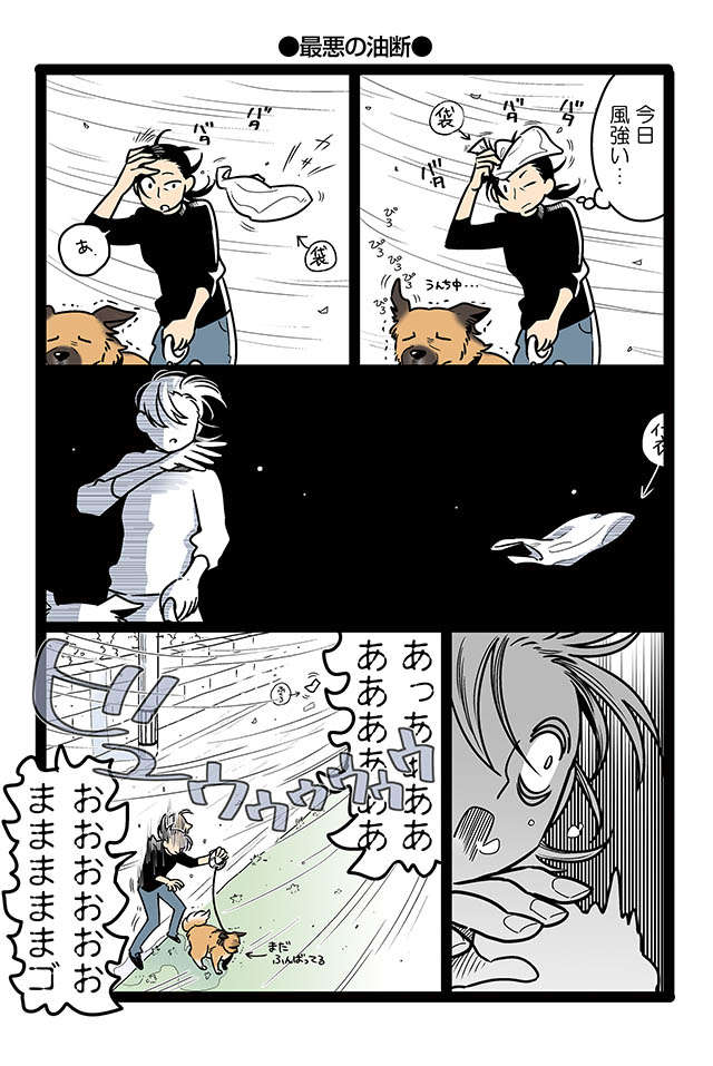 少しの時間 目を離しただけなのに ゴンさんがグルグルに 雑種犬ゴンさんがダサかわいい 4 毎日が発見ネット