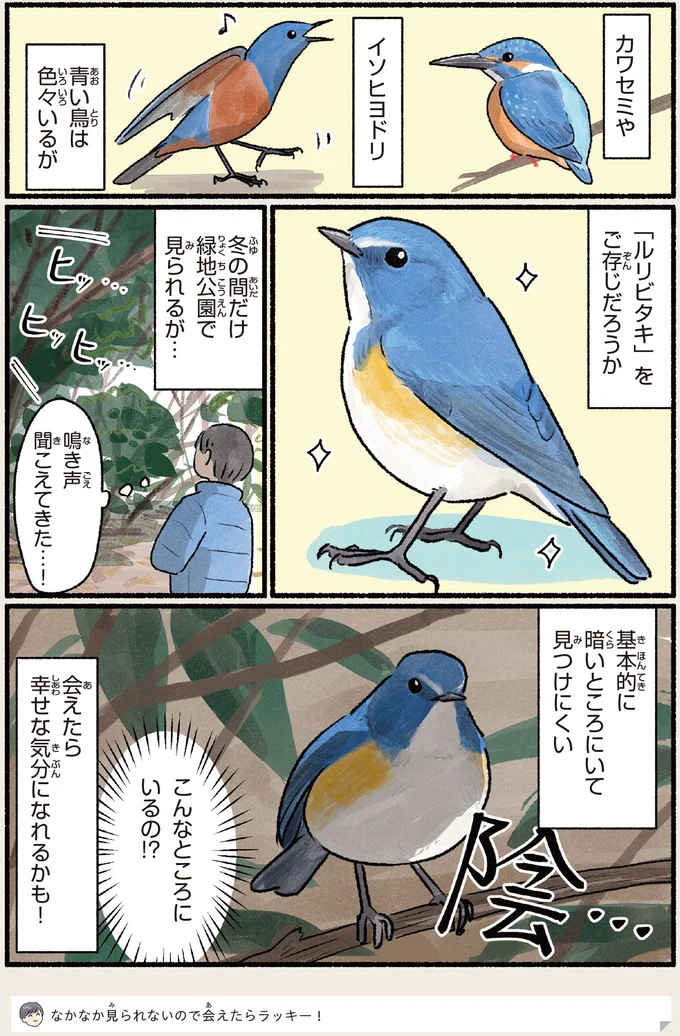 『意外と知らない鳥の生活 1〜2』 521.webp