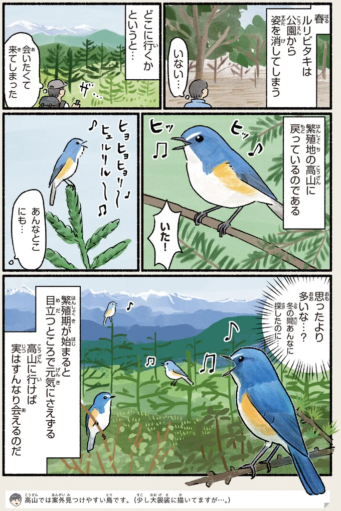 『意外と知らない鳥の生活 1〜2』 522.webp