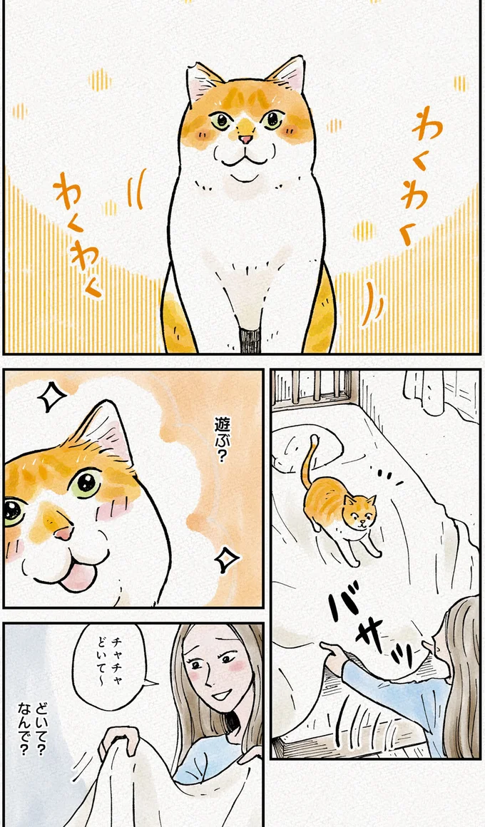 「遊ぶ？」「遊ばない？」甘えん坊な元野良猫はかまってほしくて...／元野良猫チャチャ 本日も見まわり中 07-01.png