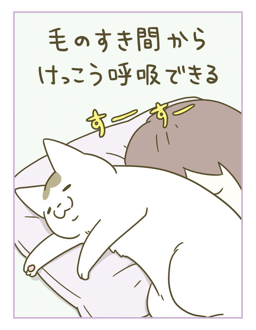 猫からのご褒美...？ 寝ていると顔の上に乗ってきたが意外と／うちの猫がまた変なことしてる。3 11.jpg