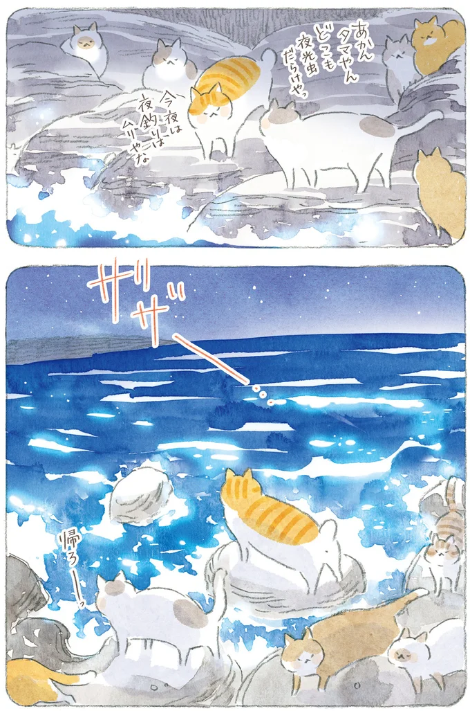 夜は海辺を自由に徘徊する島の猫たち。朝にはじいちゃんの布団にすっぽり／ねことじいちゃん11 14.png