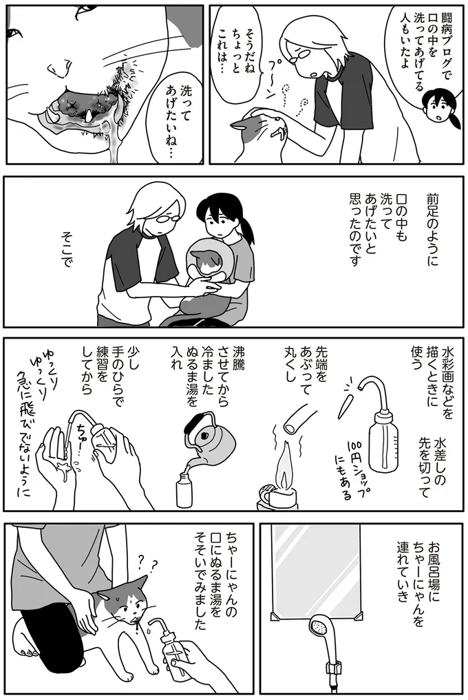 愛猫の「ガンの自壊」が始まった。汚れた口内を洗ってあげようとすると...／世界一幸せな飼い主にしてくれた猫 17-04.png